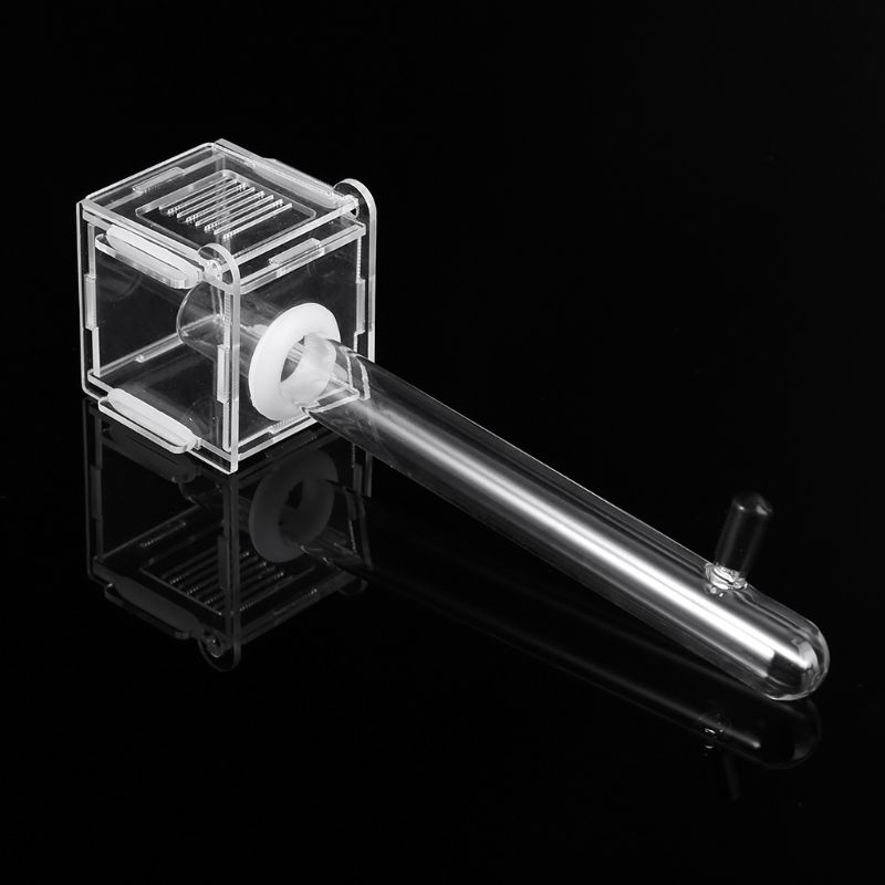 Ant Nest Glass Tube Mini Ant N - Farming Zone review and price