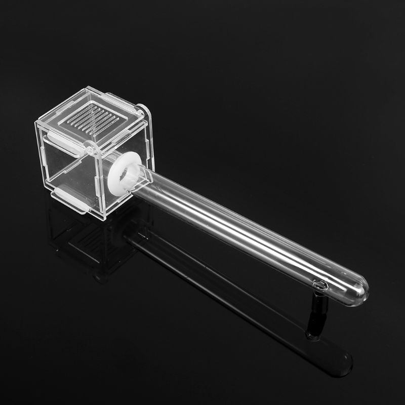 Ant Nest Glass Tube Mini Ant N - Farming Zone review and price