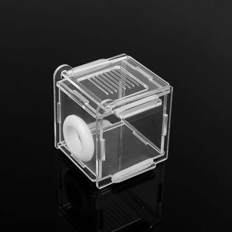 Ant Nest Glass Tube Mini Ant N - Farming Zone review and price