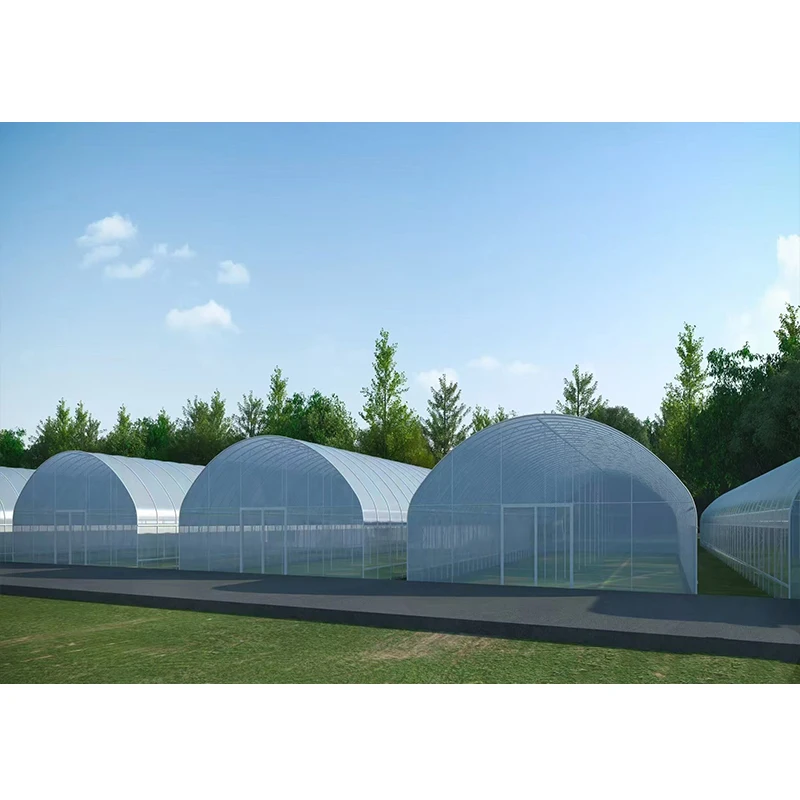 # l Low Cost Farm Singlespan G - Organic Farming In Agriculture review and price