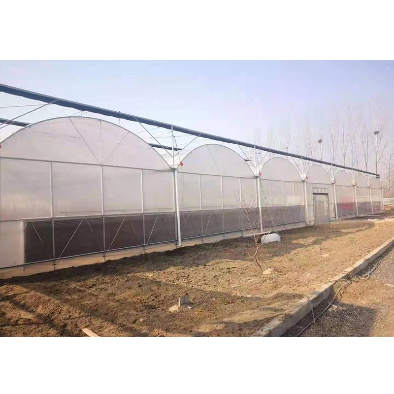 # l Low Cost Farm Singlespan G - Organic Farming In Agriculture review and price