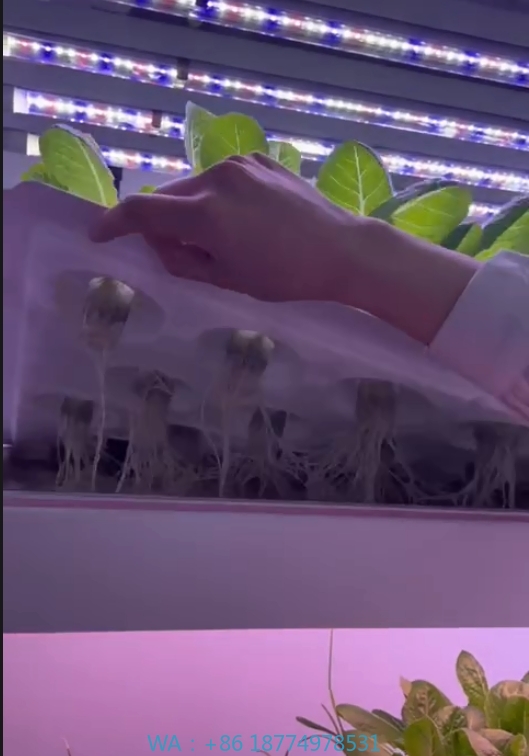 f Greenhouse Agricultural Equi - Agriculture Farming Systems review and price