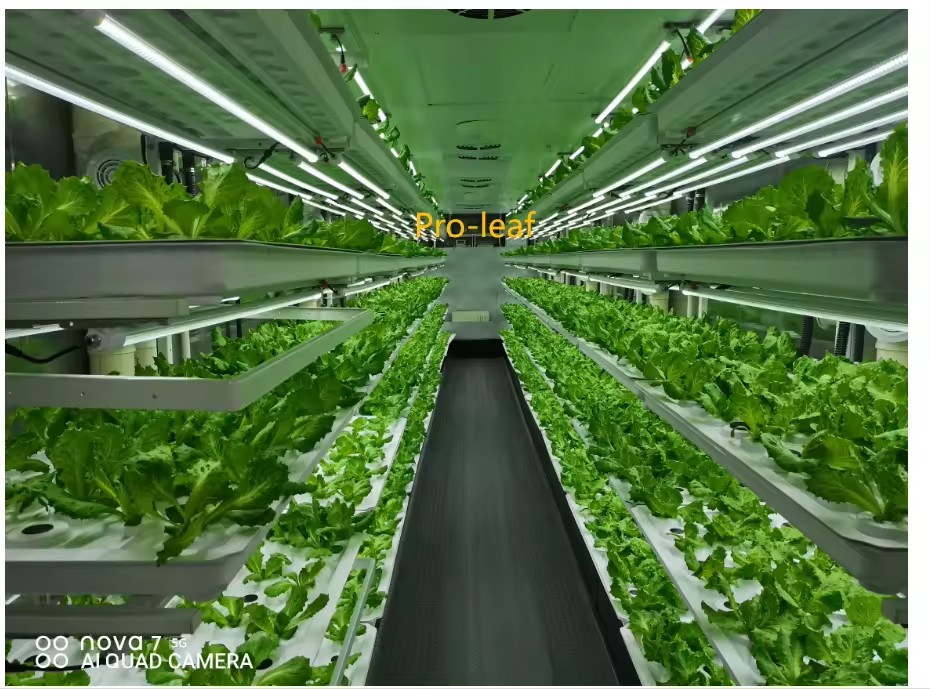 f Greenhouse Agricultural Equi - Agriculture Farming Systems review and price