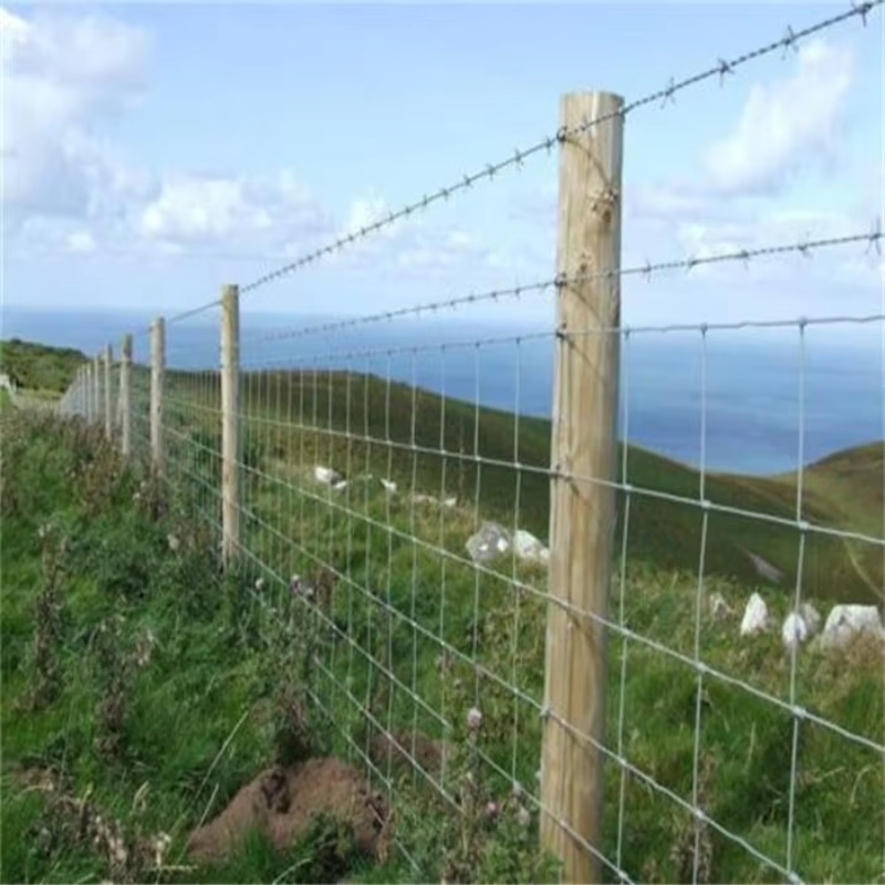 Customized Iron Wire Mesh Fixe - Agriculture Farming Livestock review and price
