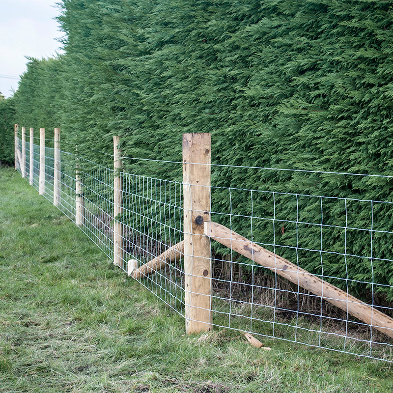 Customized Iron Wire Mesh Fixe - Agriculture Farming Livestock review and price