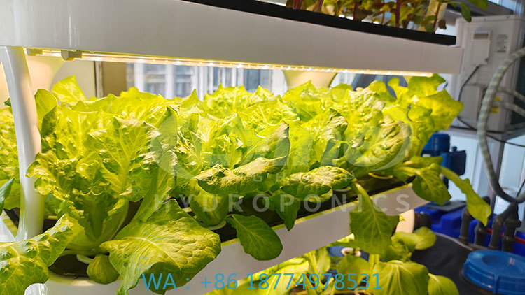 c Agriculture Machine to Growi - Agriculture Farming Systems review and price
