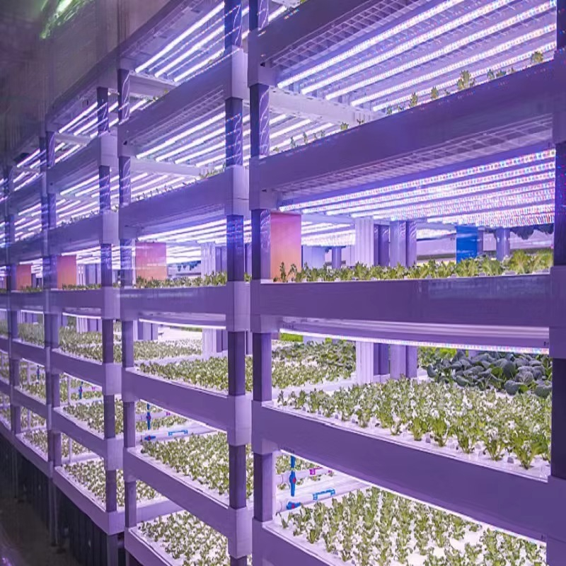 Custom Agricultural Greenhouse - Agriculture Farming Systems review and price