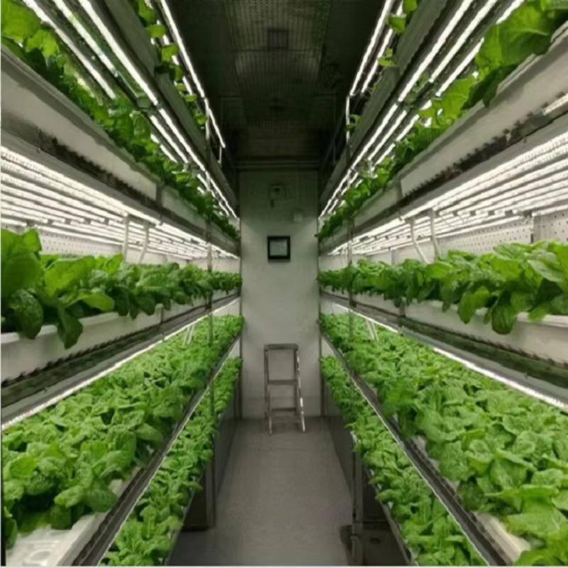 Custom Agricultural Greenhouse - Agriculture Farming Systems review and price
