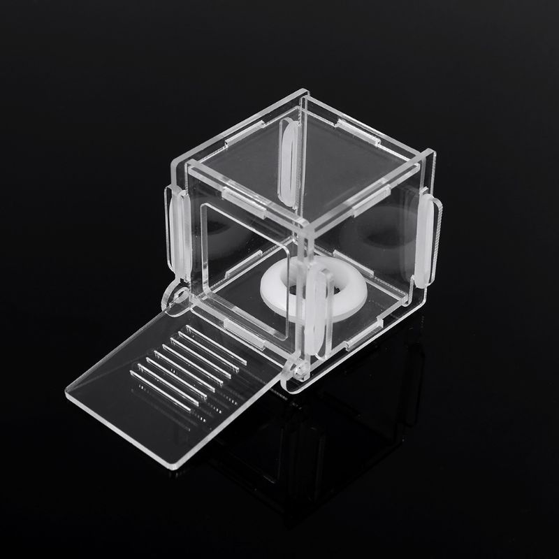 Ant Nest Glass Tube Mini Ant N - Farming Zone review and price