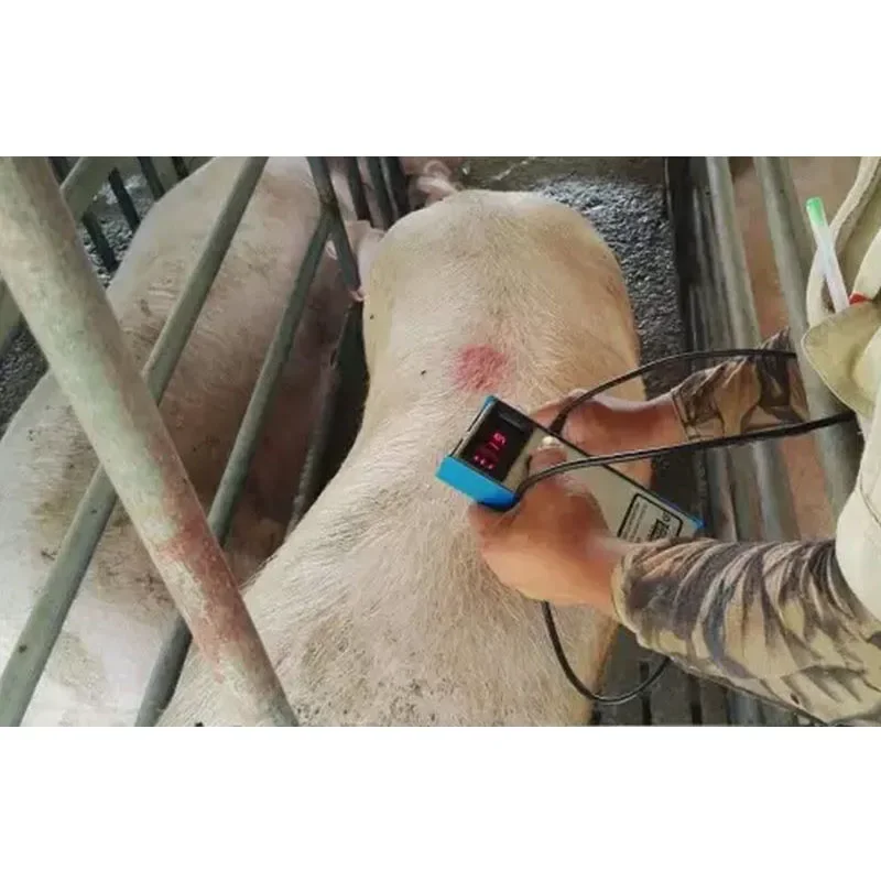 Precision Pig Back Fat Detecto - Agriculture Farming Livestock review and price