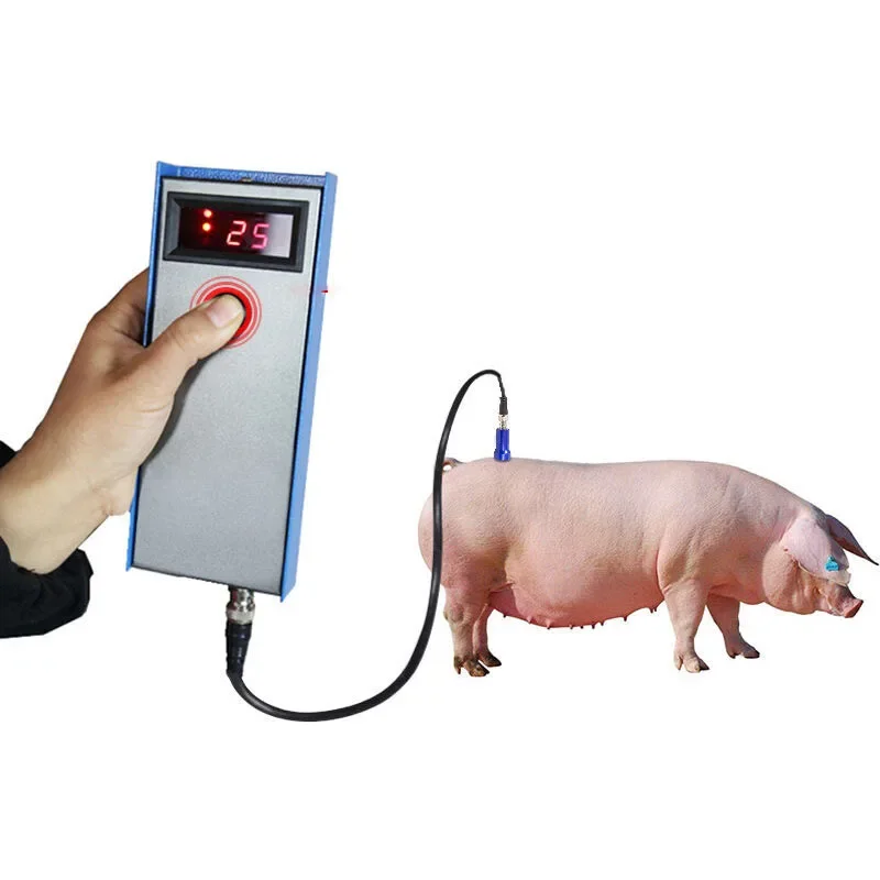 Precision Pig Back Fat Detecto - Agriculture Farming Livestock review and price
