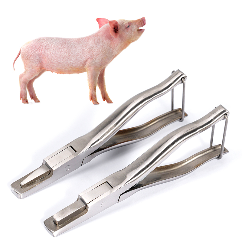 Stainless Steel Pig Ear Notche - Agriculture Farming Livestock review and price
