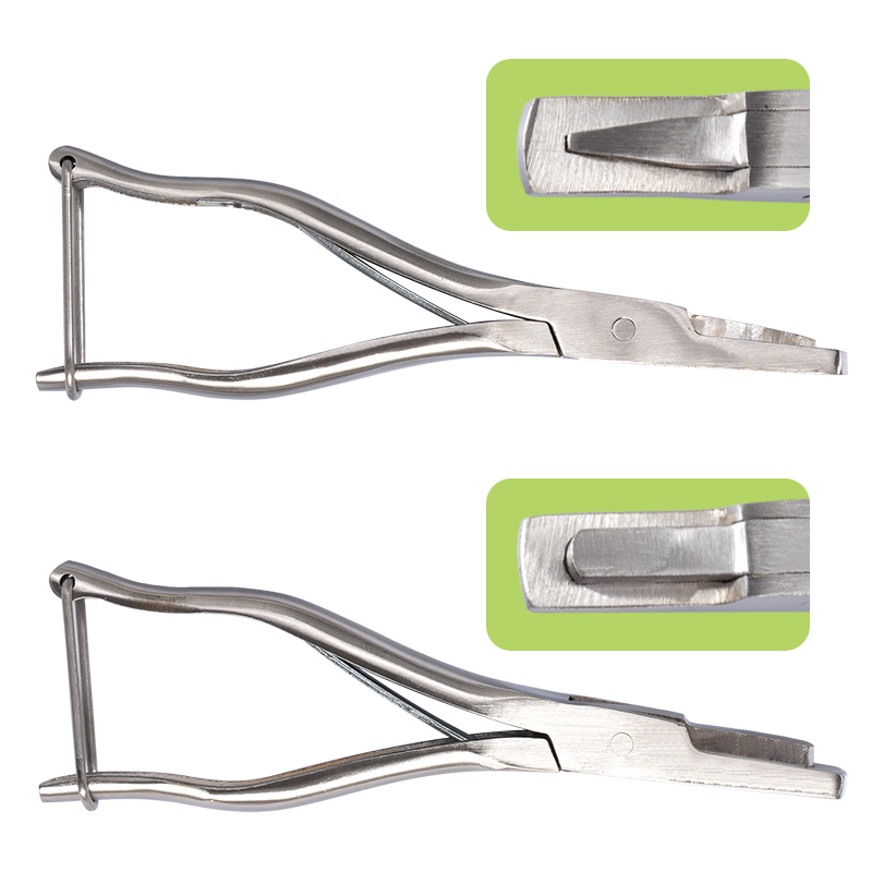 Stainless Steel Pig Ear Notche - Agriculture Farming Livestock review and price