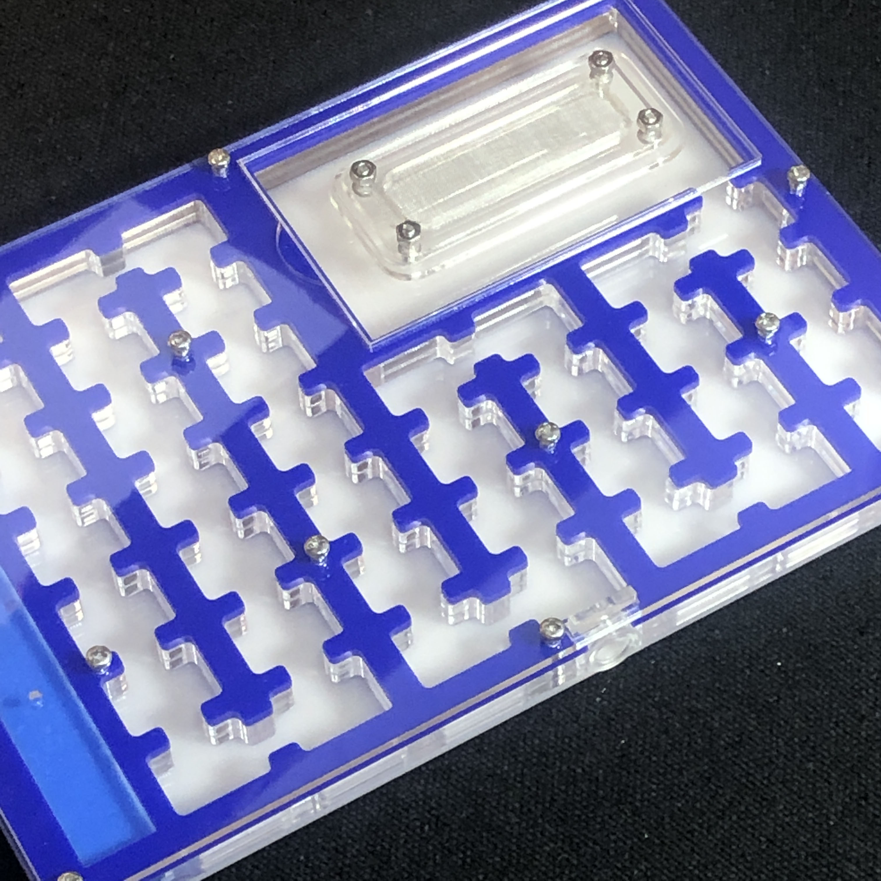 BIG Space Acrylic ant farm maz - Farming Zone review and price