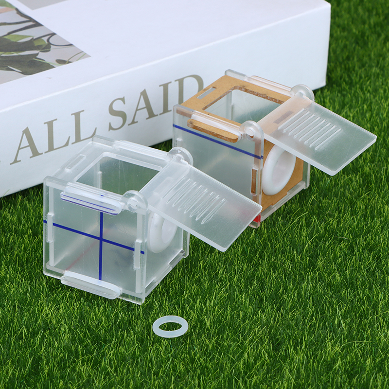 Acrylic high transparency ant  - Farming Zone review and price