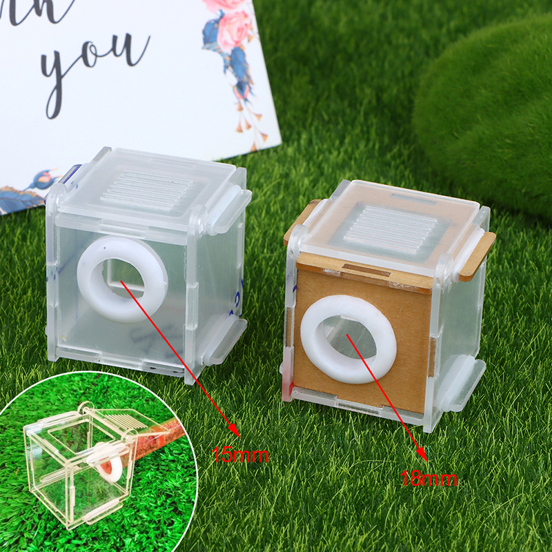 Acrylic high transparency ant  - Farming Zone review and price